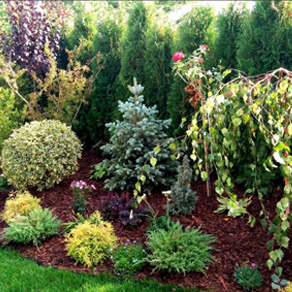 Ландшафт градина